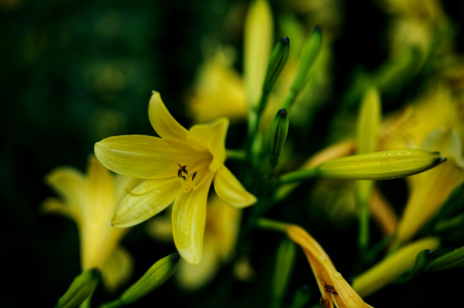 Professionelle Fotografie – Sebastian Schreier, Stuttgart