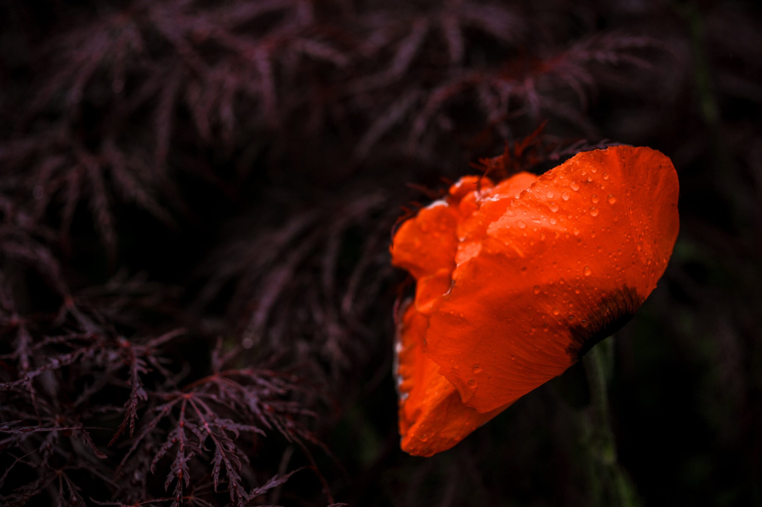 Business-Fotografie für Unternehmen in Stuttgart