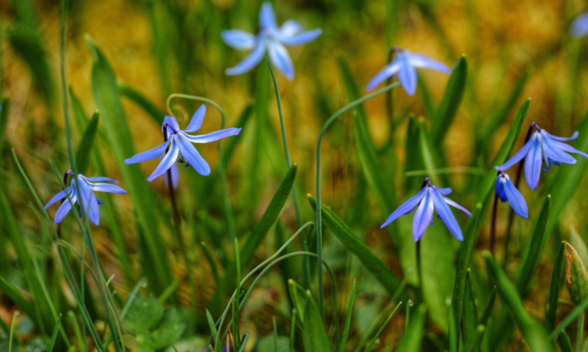Eventfotografie – authentisch und lebendig